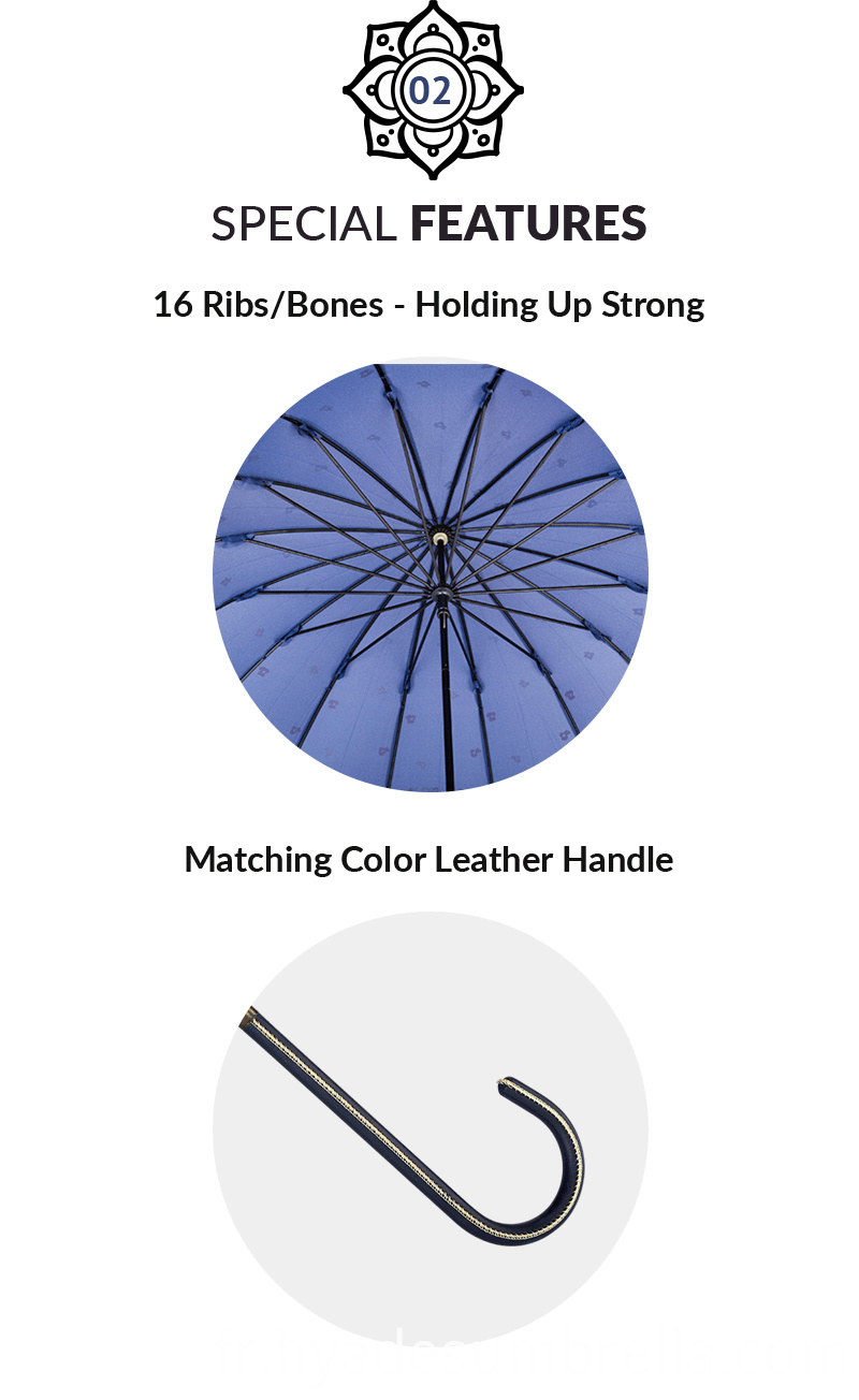 parapluie de dames cher expensive ladies umbrella